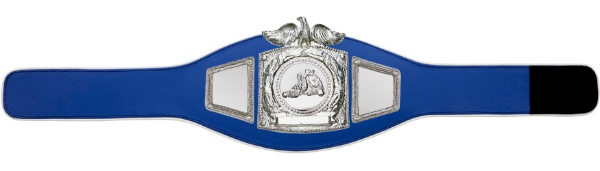 PROEAGLE JIU JITSU CHAMPIONSHIP BELT - PROEAGLE/S/JJS - AVAILABLE IN 6+ COLOURS PROEAGLE JIU JITSU CHAMPIONSHIP BELT - PROEAGLE/S/JJS - AVAILABLE IN 6+ COLOURS